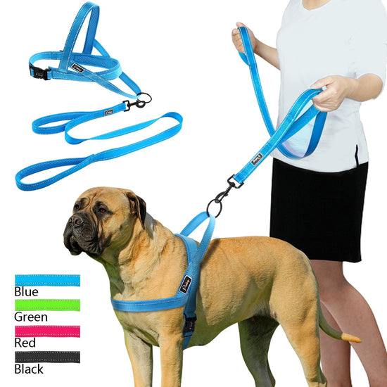 Reflective Dog Vest & Leash Combo