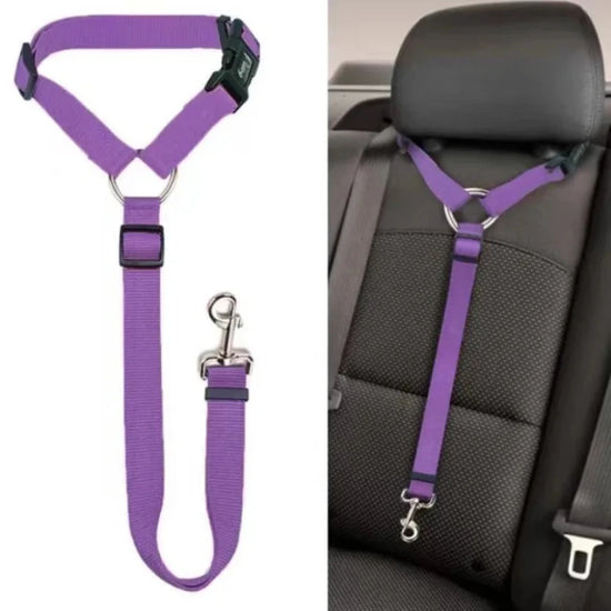 Two-in-One Dog Car Seat Belt & Lead – Safe & Durable
