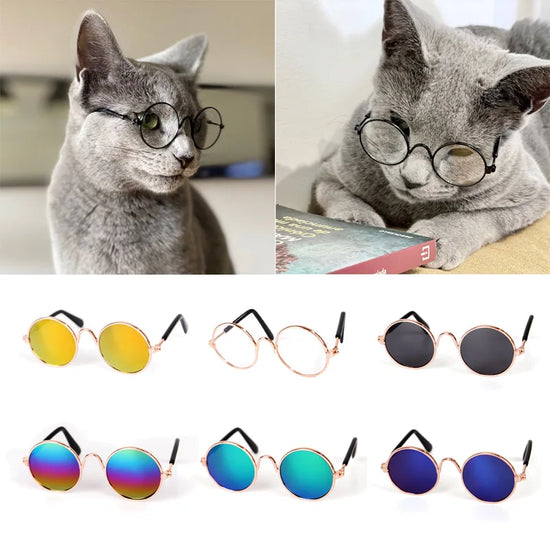 Retro Cat & Dog Glasses – Cute Pet Accessories