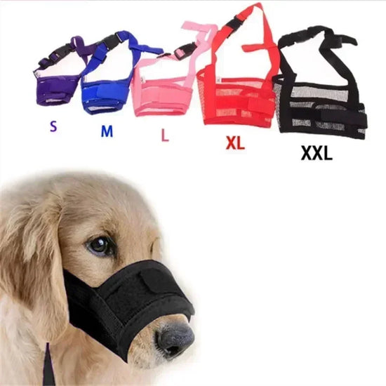 Colorful Dog Muzzle – Safe & Breathable for Outdoor Use